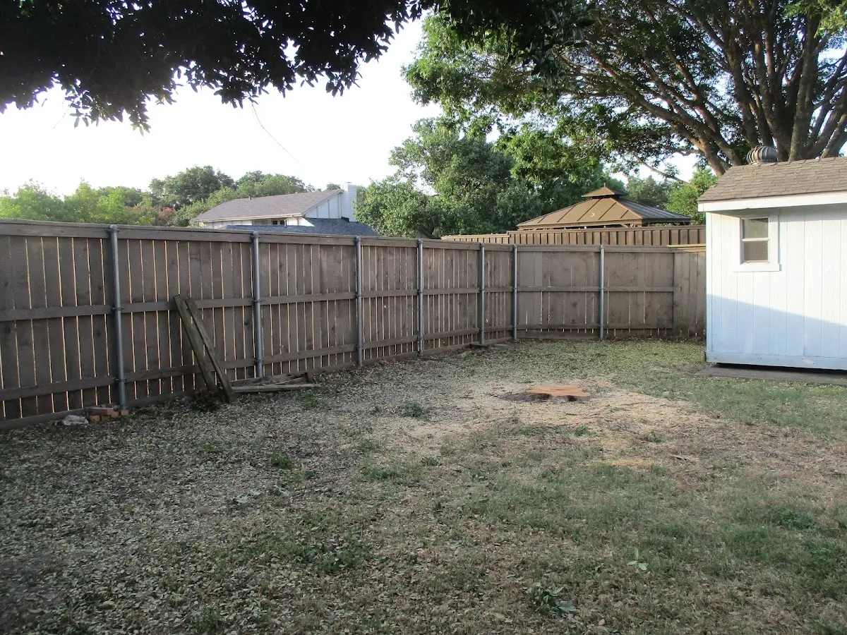 Cleared yard after professional tree removal in Eastpoint
