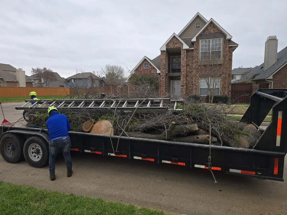 Expert Lot Clearing with proper safety equipment in Eastpoint